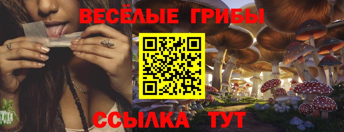 Сосновый Бор  Псилоцибиновые грибы Magic Shrooms  Вход с VPN  Галлюциногенные грибы ЛСД 