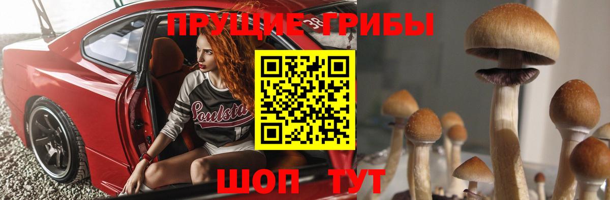 Галлюциногенные грибы мицелий Сосновый Бор
