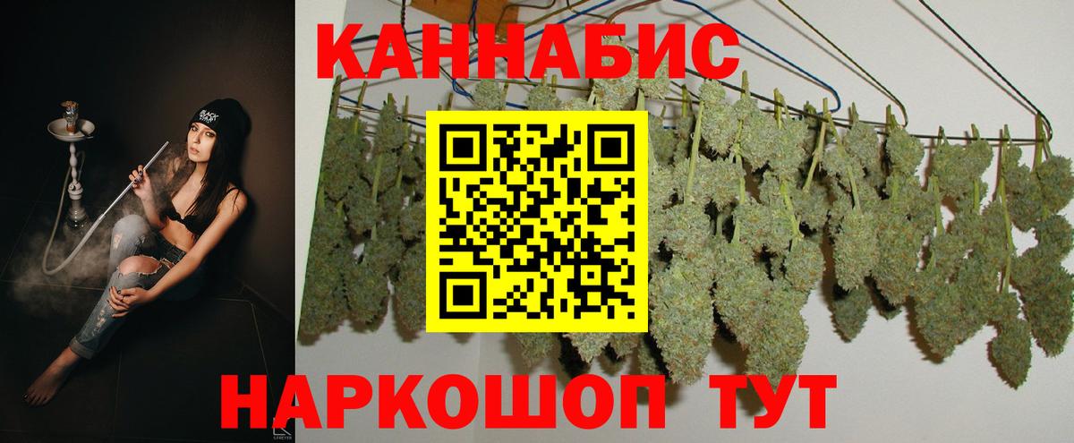 Конопля SATIVA & INDICA Сосновый Бор